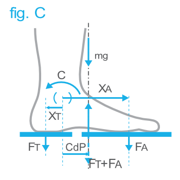 Pedana Stabilometrica Cyber Sabots - Diagramma dei vettori a terra